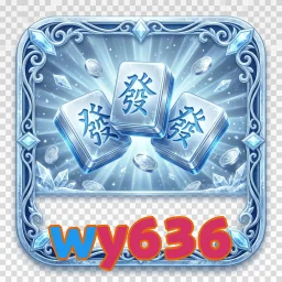 wy636